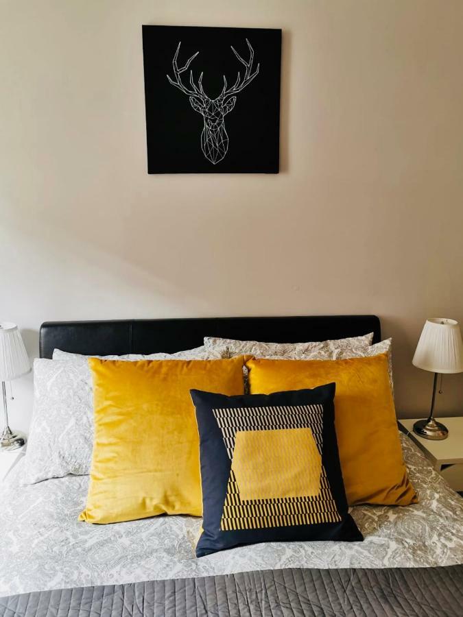 City Centre Georgian Style Apartment Dublín Exterior foto